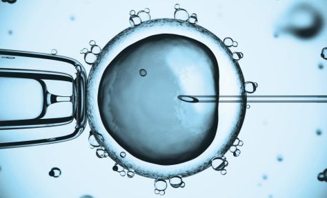 代生包男孩机构
